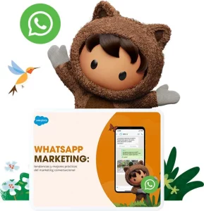 Salesforce y whatsapp marketing